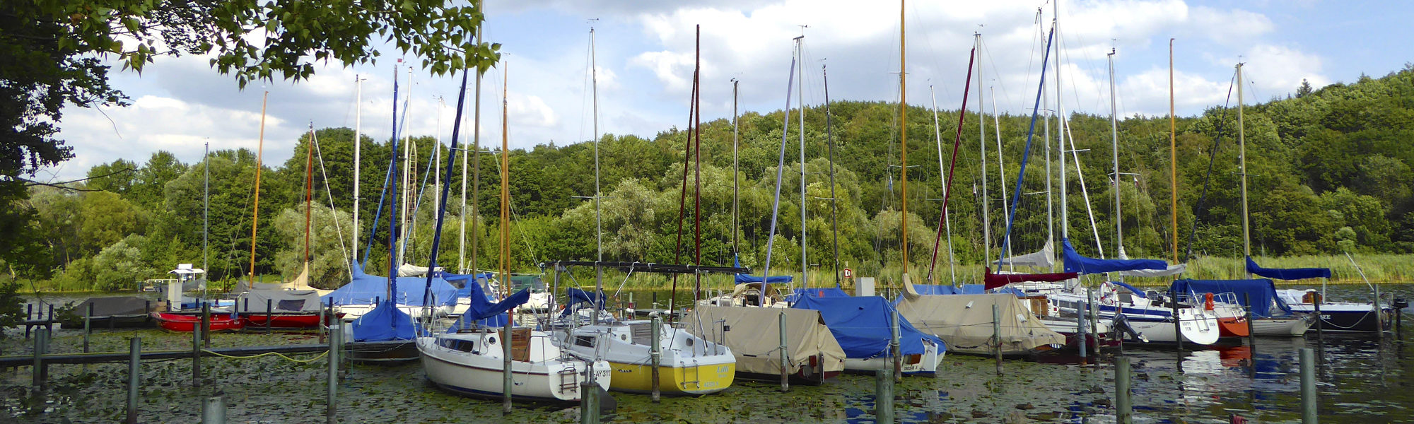 Segelyachten im Hafen des Yacht-Club Müggelsee