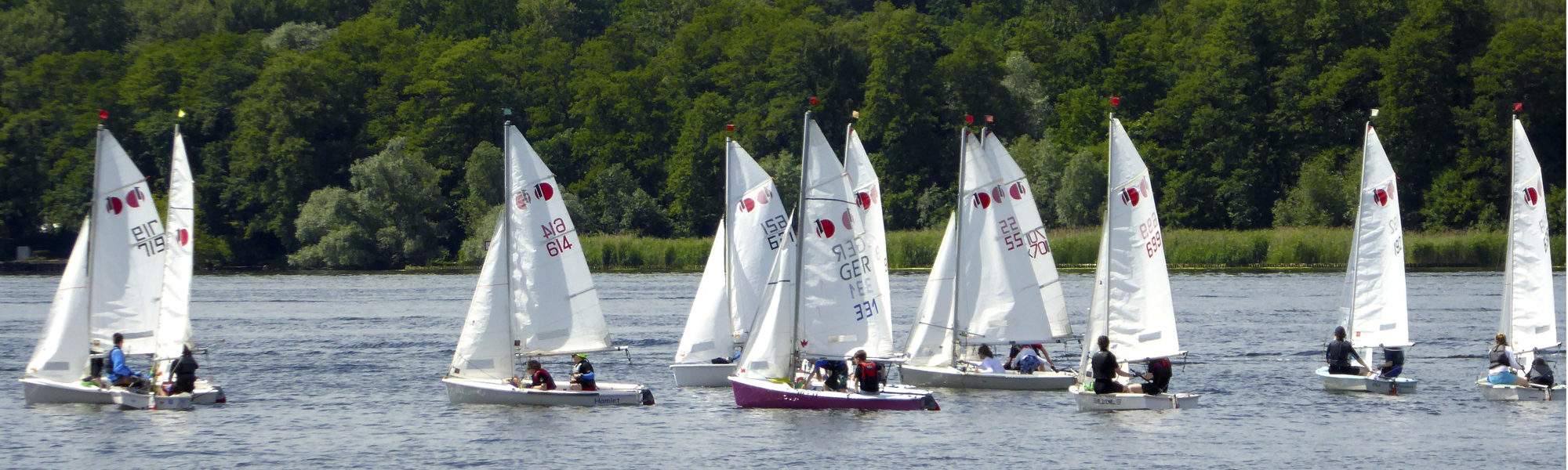 Regatta beim Yacht-Club Müggelsee