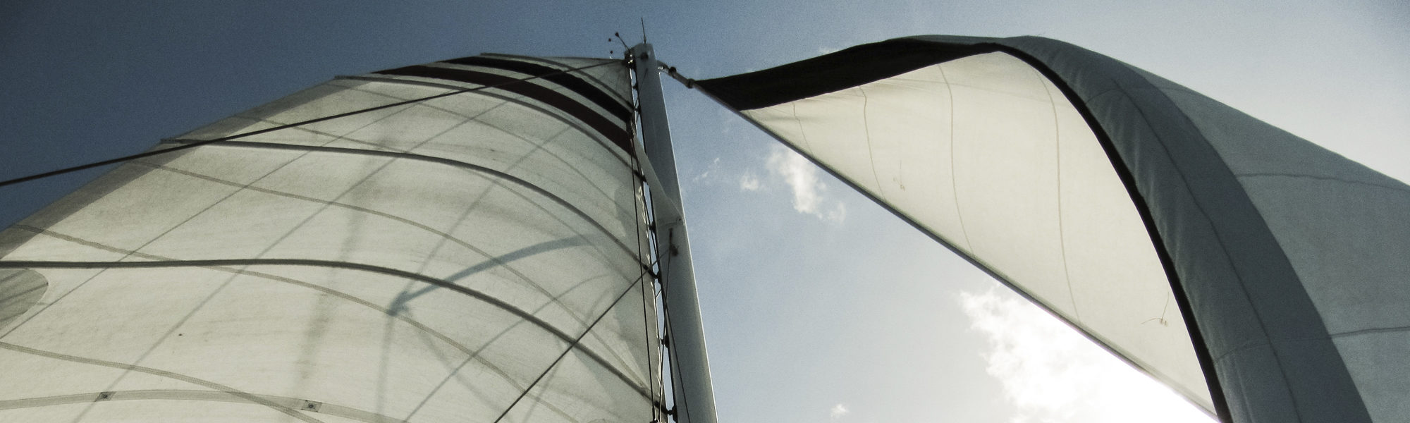 Segel im Wind
