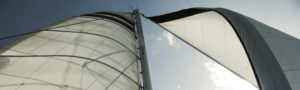 Segel im Wind