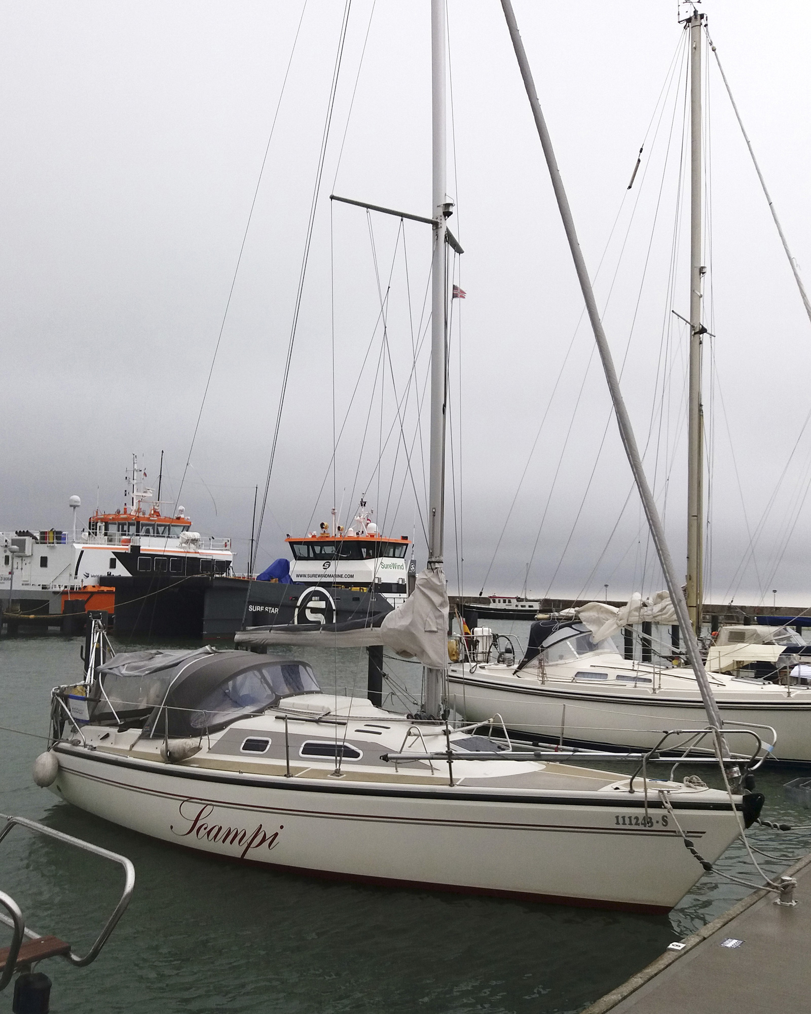 die Scampi aus dem Yachtclub Müggelsee in der Ostsee